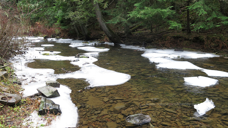 Icebergs on the Palouse River