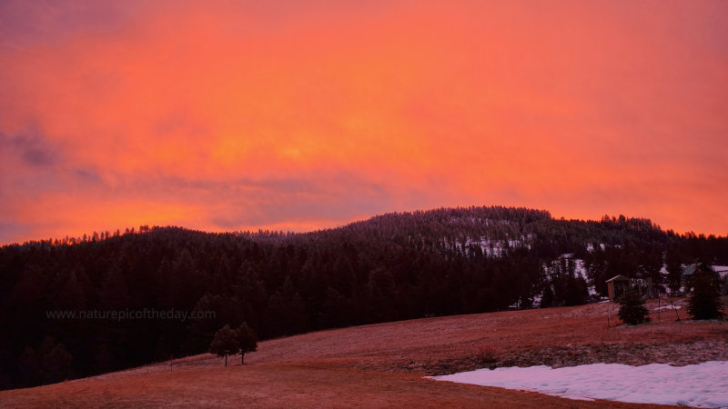 Eerie Orange morning light