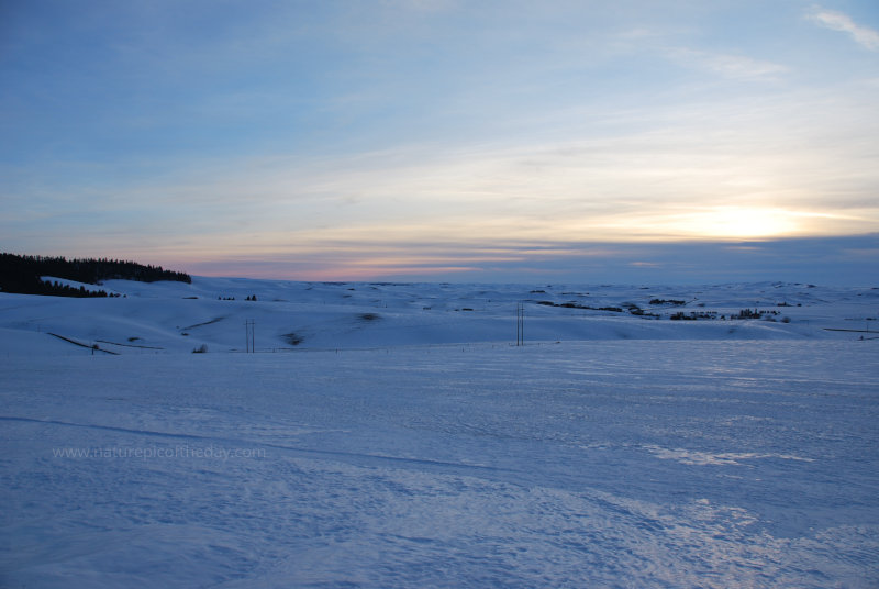 Snow on the Palouse