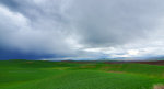 New fields on the Palouse