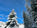 Snow and Winter and Blue Sky