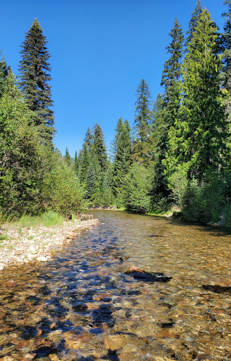 Creek in Montana