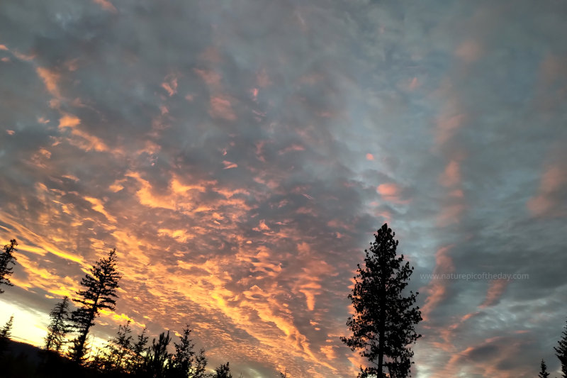 Clouds on the sunset.