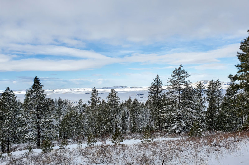 Winter on the Palouse