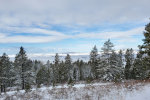 Winter on the Palouse