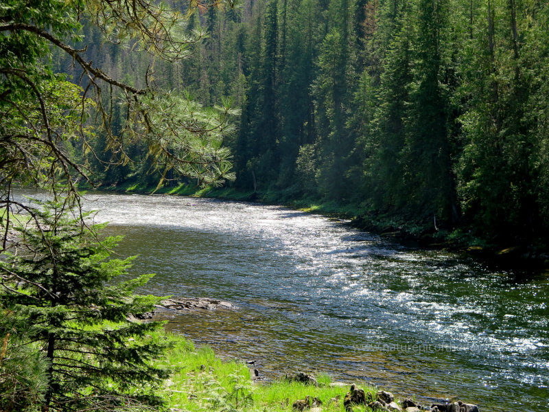 Selway River in the Rockies of Idaho