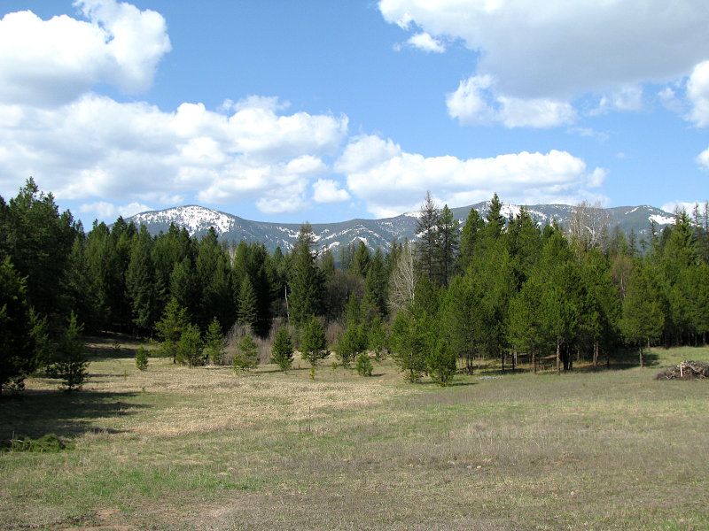 Snow in the Rockies