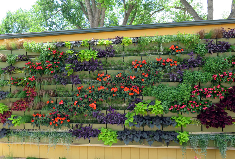 Reptile Gardens in South Dakota