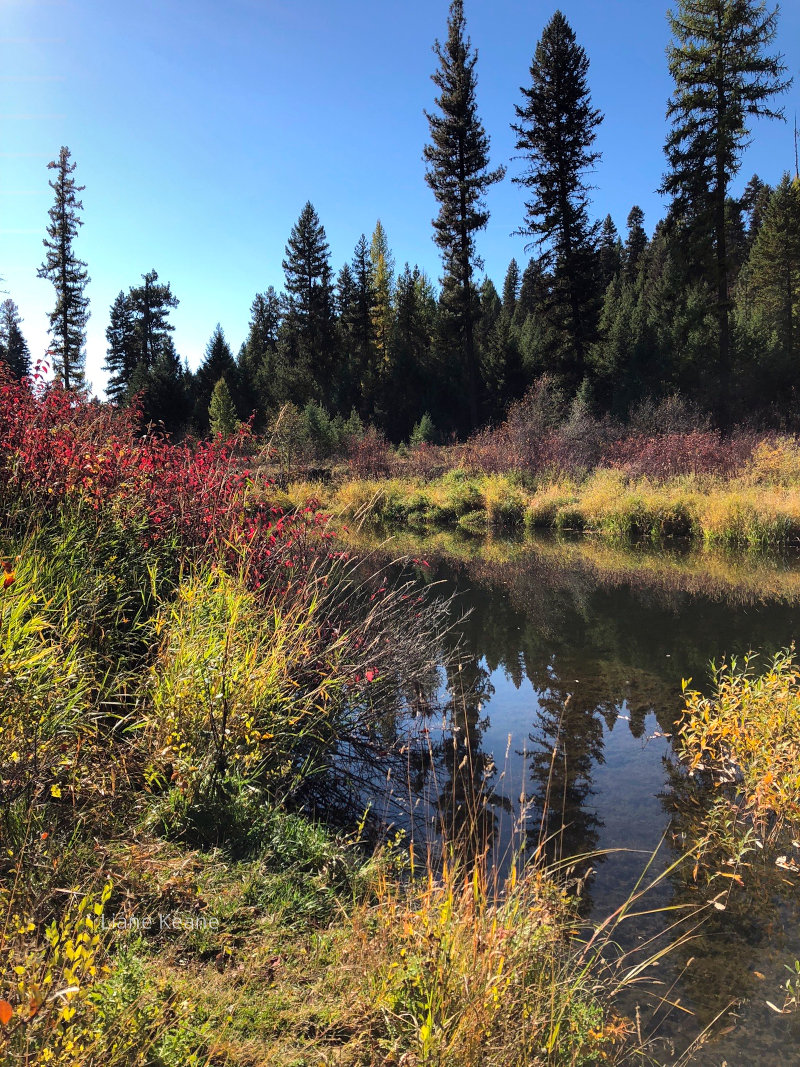 Autumn on the Thompson River