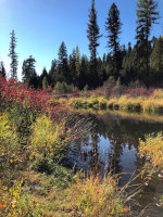 Autumn on the Thompson River