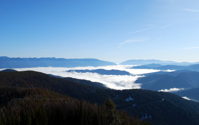 Fog in the Valley