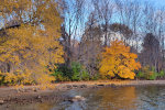 Fall Colors in Washington State