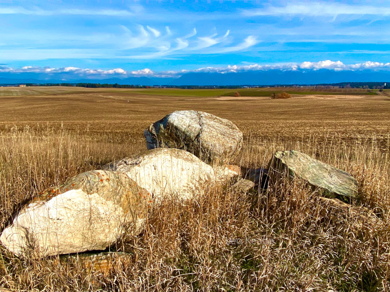 Boulders under the Mission Mountains