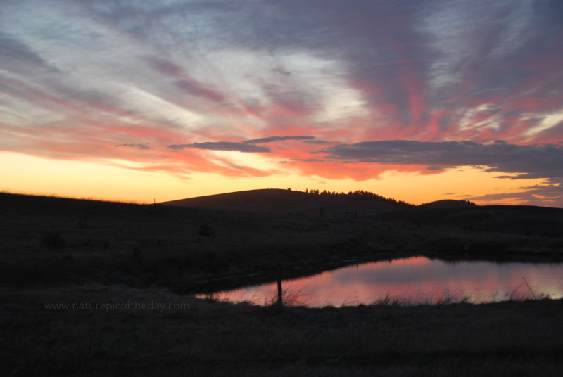 Pond reflecting the sky