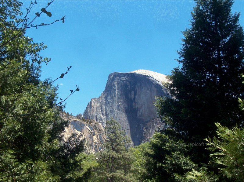 Yosemite National Park