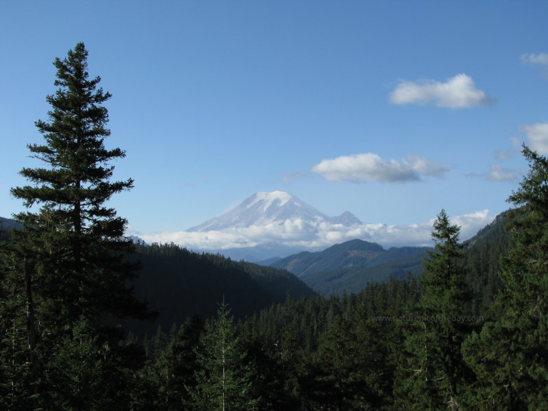 Mount Rainier