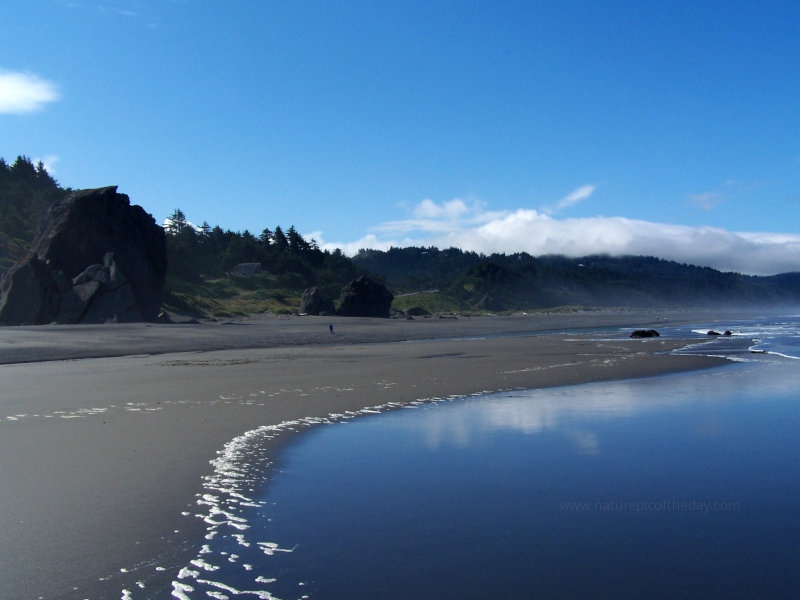 Washington beach