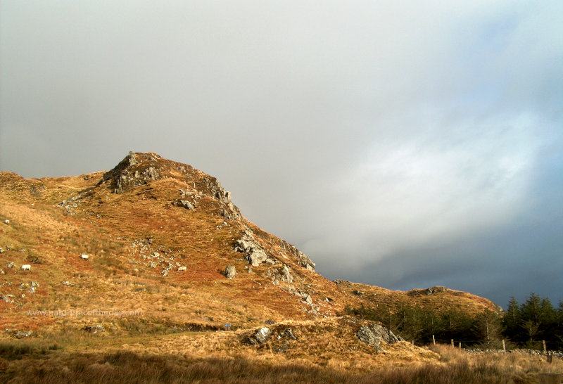 Sunny hillside in Ireland