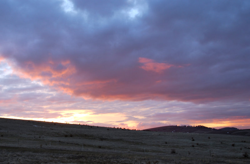 Cloudy Sunset over Washington State