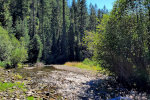 Beaver Creek in Montana