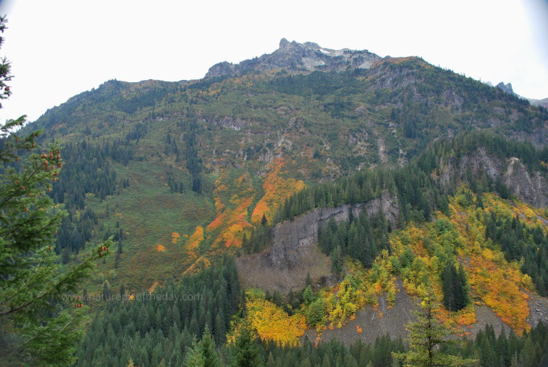 Rainier National Park.