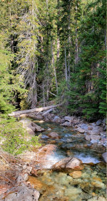 Mountain Stream in Washington