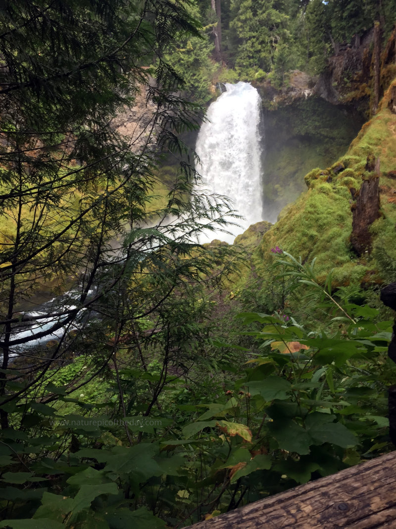 Sahalie Falls in Oregon