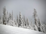 Winter skiing at Big Mountain