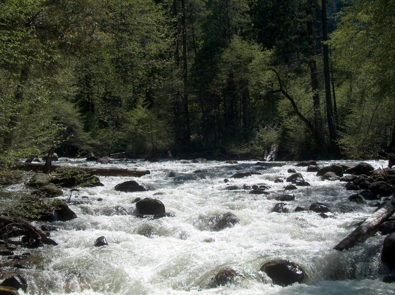 Merced River in Yosemite