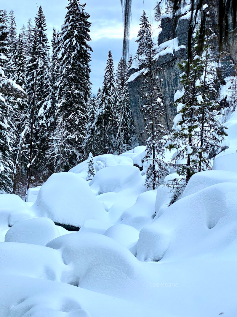 Snow at Dog Creek Lodge