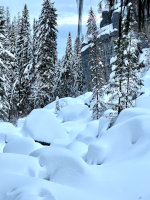 Snow at Dog Creek Lodge