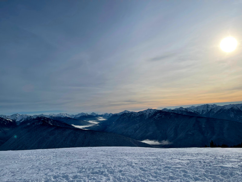 Olympic Mountains from Hurricane Ridge