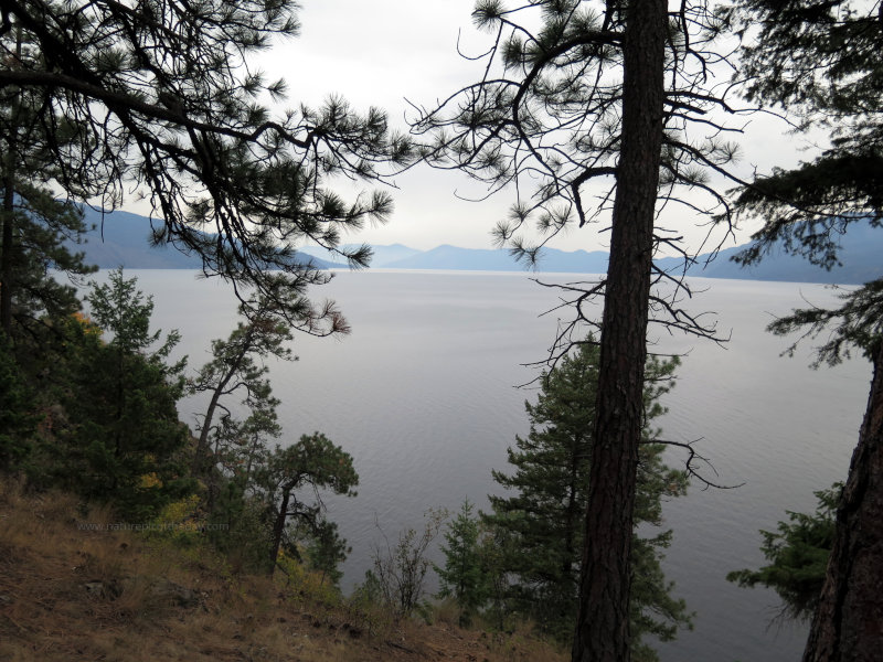 Lake Pend Orielle in Hope, ID