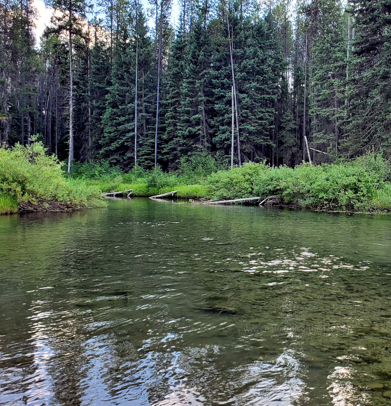 Stillwater River in Montana