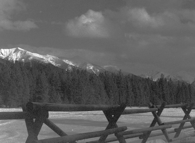 Swan Mountains, Seeley Lake, Montana