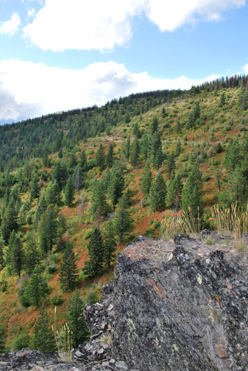 Rocky Mountains in Montana