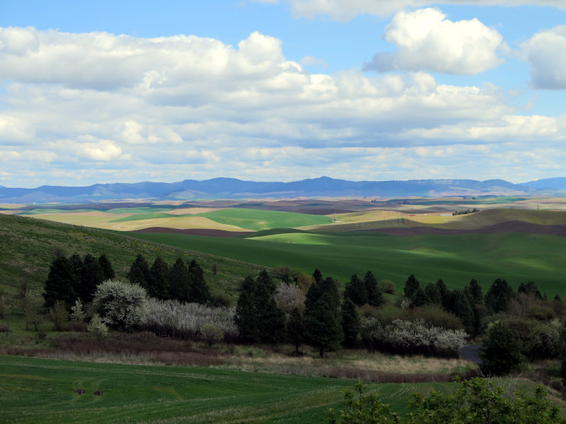 Palouse in Washington State