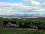 Palouse in Washington State