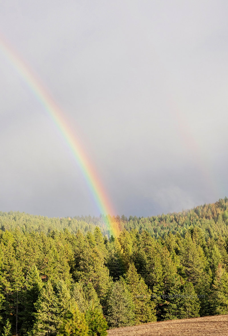 Is it a double rainbow?