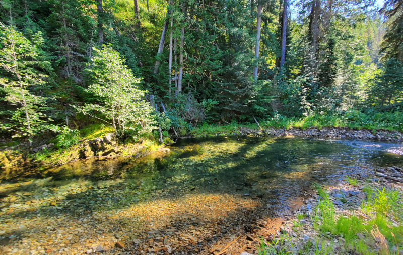 Creek in Montana