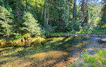 Creek in Montana