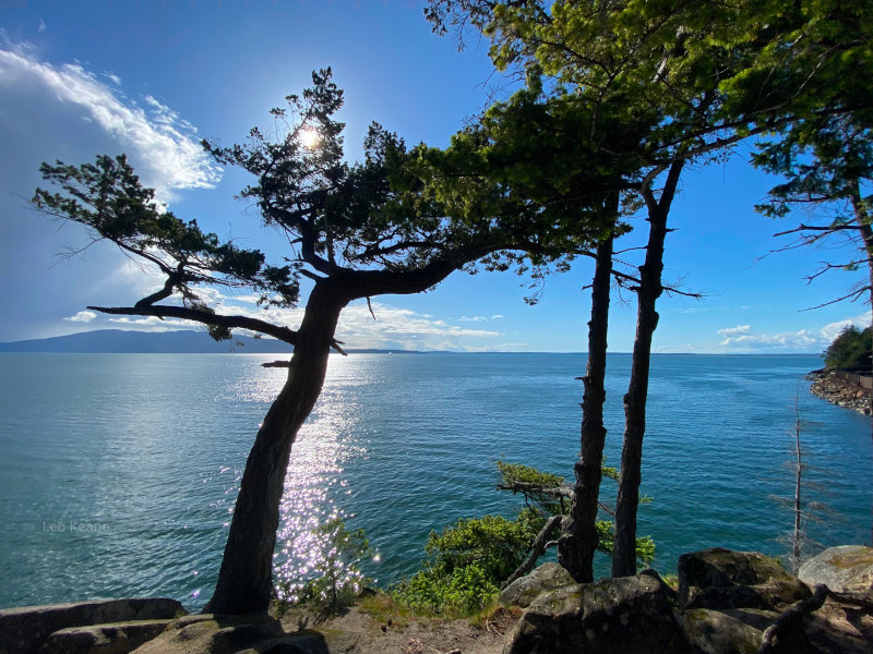 Sunny day over Puget Sound