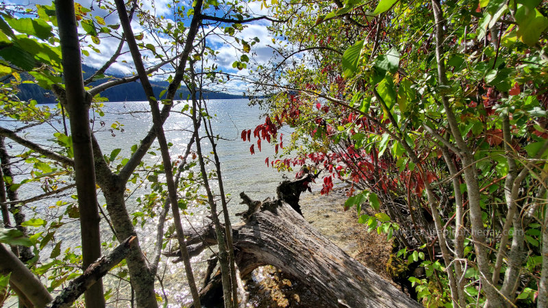 Fall on the Lake, Priest Lake