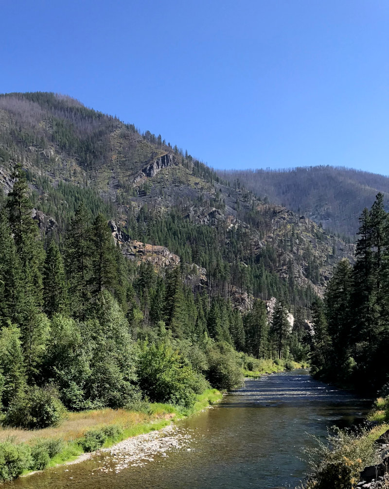 Thompson River in Montana