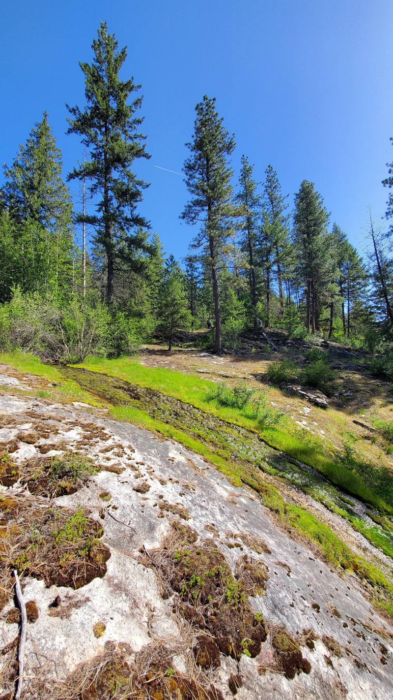 Mossy waterslide in Idaho