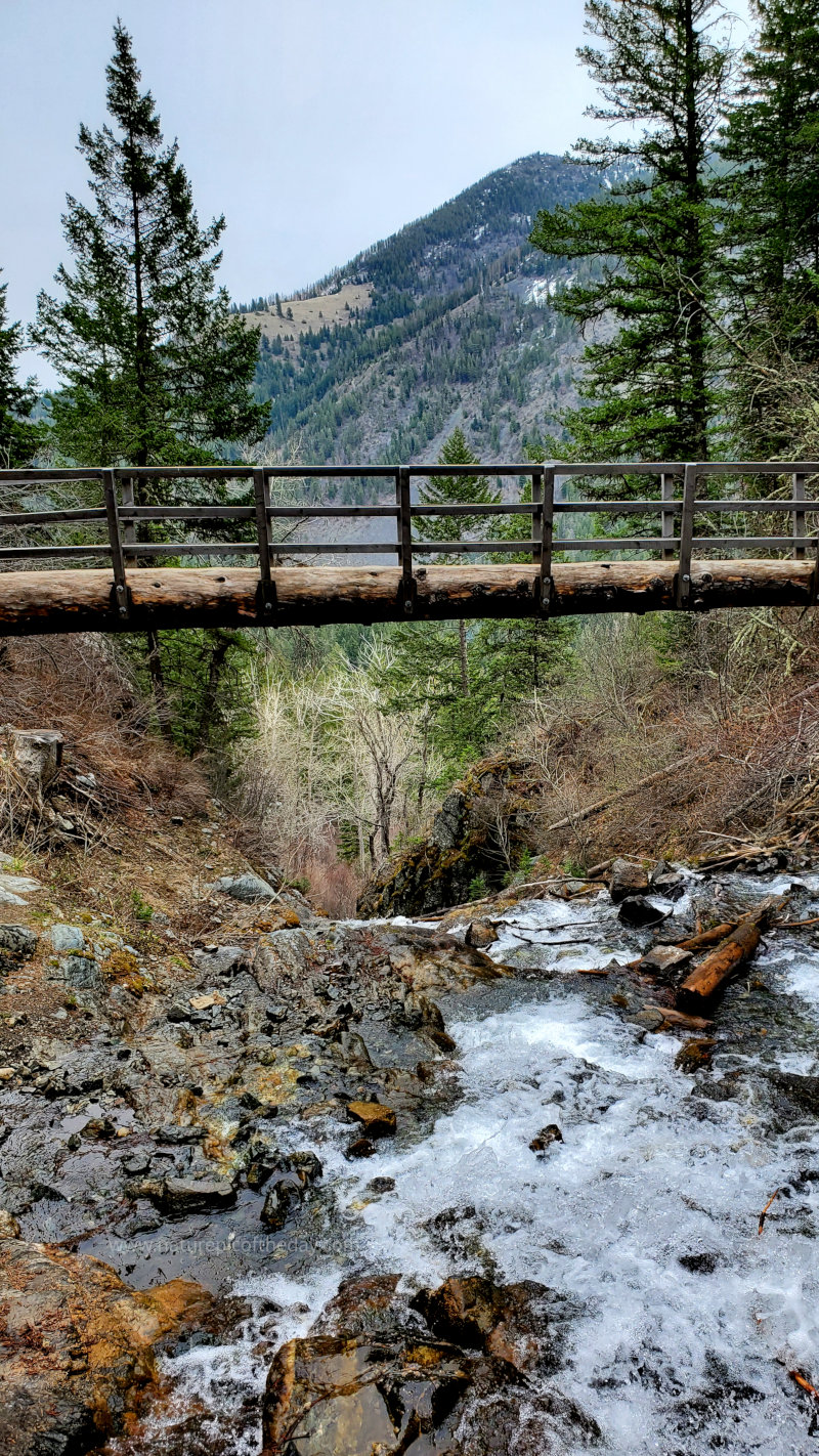 Hike in Oregon
