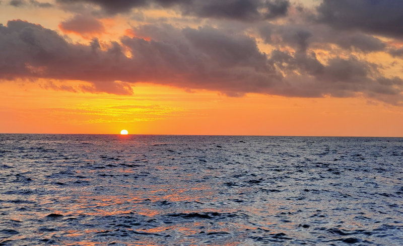 Still looking for that green flash though.