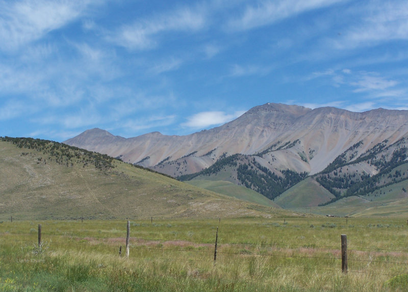 Near Salmon, ID