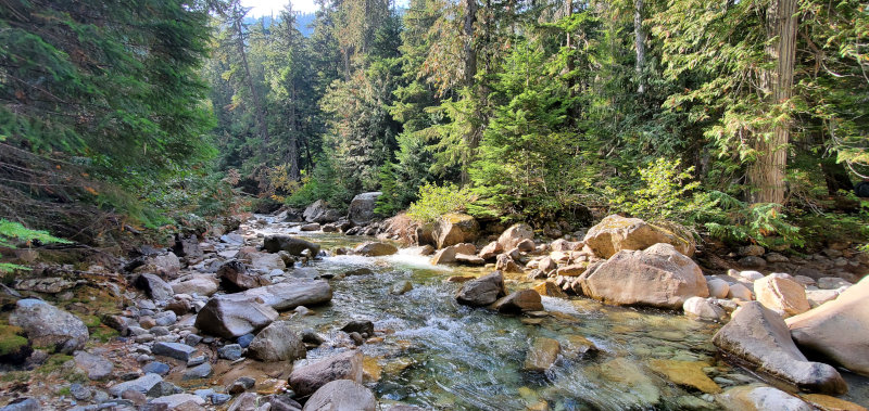 Babbling Brook in the Stream