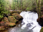 Whatcom Falls in Bellingham, WA